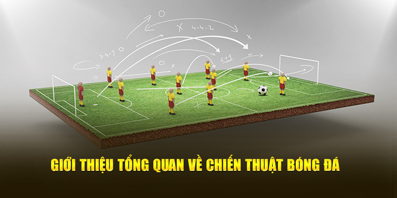 Giới thiệu tổng quan về chiến thuật bóng đá