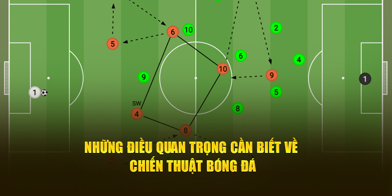 Những điều quan trọng cần biết về chiến thuật bóng đá